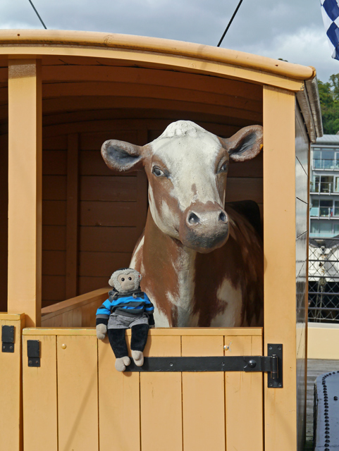 Mooch monkey at ss Great Britain in Bristol - livestock