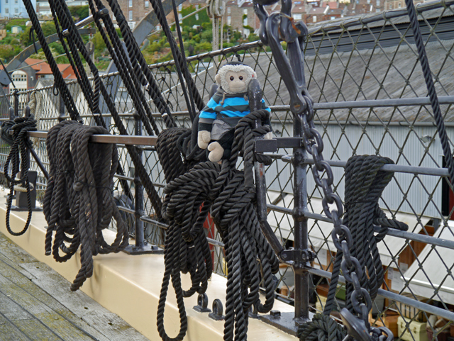 Mooch monkey at ss Great Britain in Bristol
