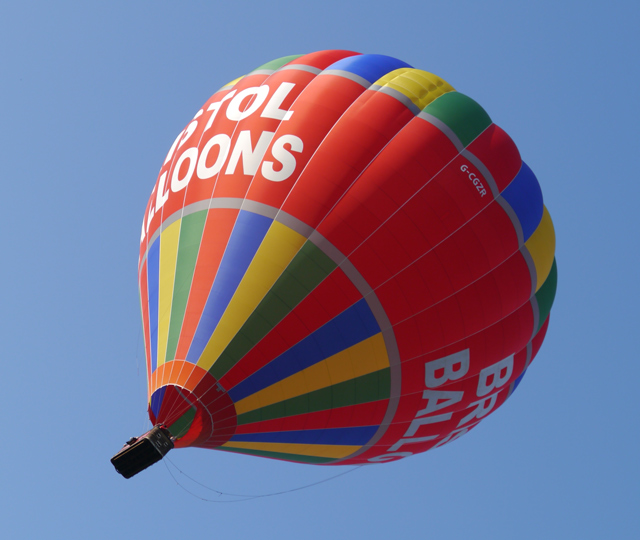 Mooch monkey watches balloons at Ashton Court