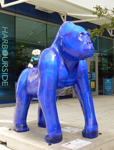 Mooch monkey at Wow Gorillas in Bristol 2011 - 6 Blue