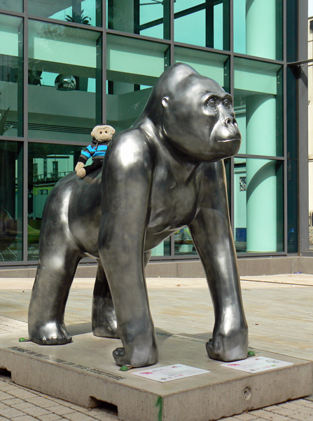 Mooch monkey at Wow Gorillas in Bristol 2011 - 7 Seeing You, Seeing Me