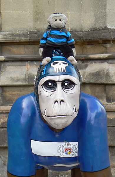 Mooch monkey at Wow Gorillas in Bristol 2011 - 8 Grievesy