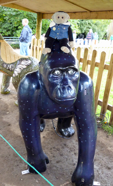 Mooch monkey at Wow Gorillas in Bristol 2011 - 18 Crystal Eyes (Bristol Zoo)
