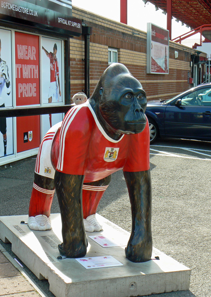 Mooch monkey at Wow Gorillas in Bristol 2011 - 39 Alfred