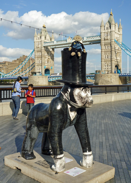 Mooch monkey at Wow Gorillas in Bristol 2011 - 43 Gorisambard (in London)