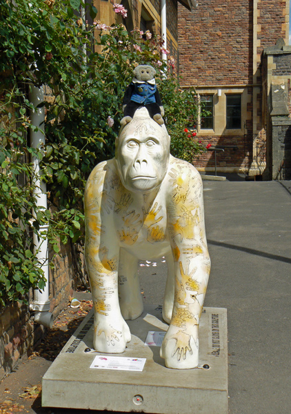 Mooch monkey at Wow Gorillas in Bristol 2011 - 45 Percival