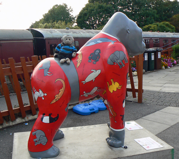 Mooch monkey at Wow Gorillas in Bristol 2011 - 57 Endangered PJs