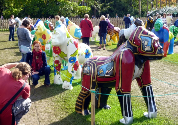 Mooch monkey at Wow Gorillas in Bristol 2011 - Bristol Zoo