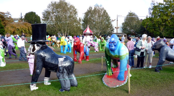 Mooch monkey at Wow Gorillas in Bristol 2011 - Bristol Zoo