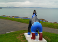 Torbay and Great Gorillas