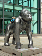 Mooch monkey at !Wow Gorillas in Bristol.