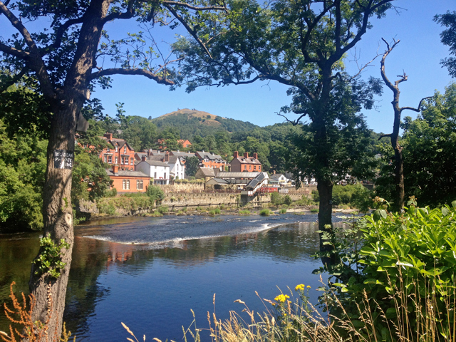 Mooch monkey at Llangollen - River Dee