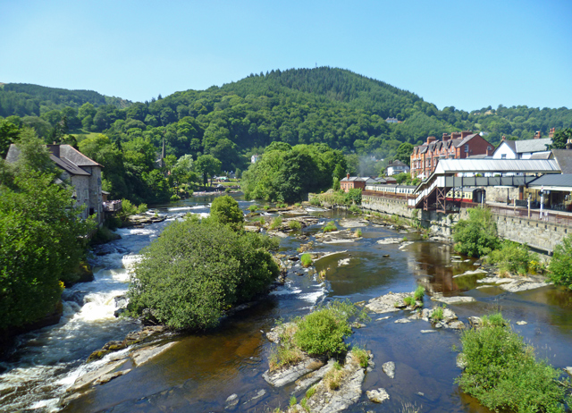 Mooch monkey at Llangollen - River Dee