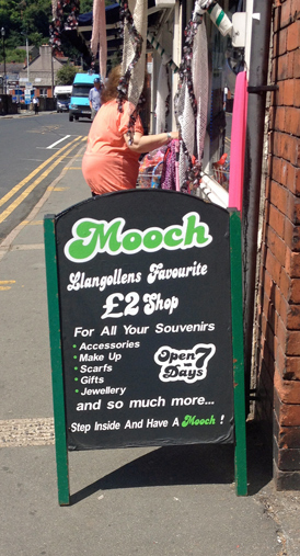 Mooch monkey at Llangollen - Mooch Shop
