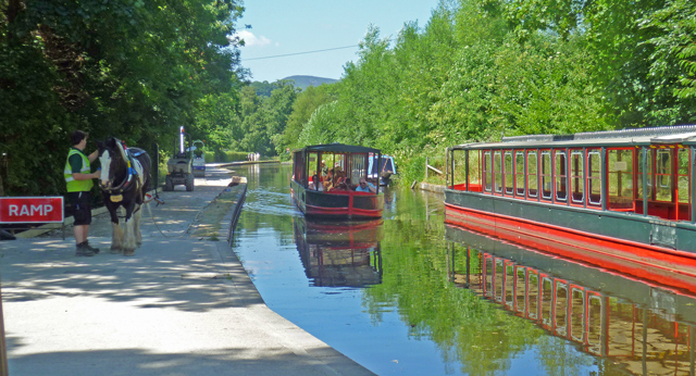 Mooch monkey at Llangollen - Horse drawn canal boat trip