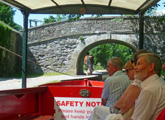 Mooch monkey at Llangollen - Horse drawn canal boat trip