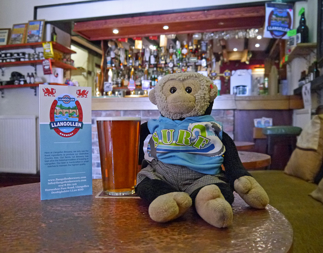 Mooch monkey at Llangollen Brewery & Abbey Grange Hotel