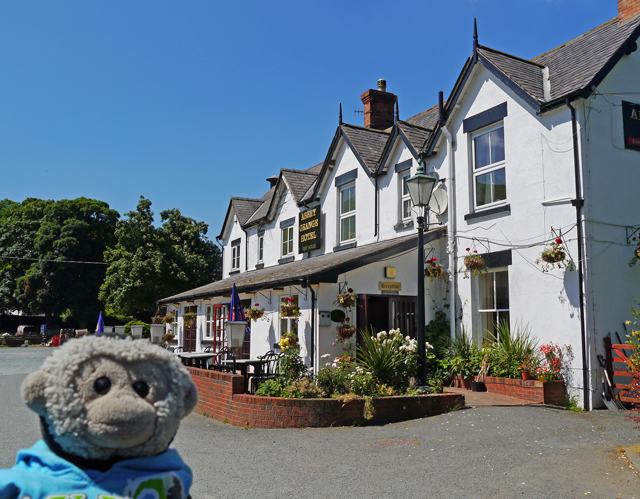 Mooch monkey at Llangollen Brewery & Abbey Grange Hotel