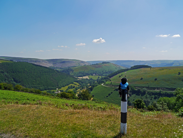 Mooch monkey enjoys Llangollen countryside