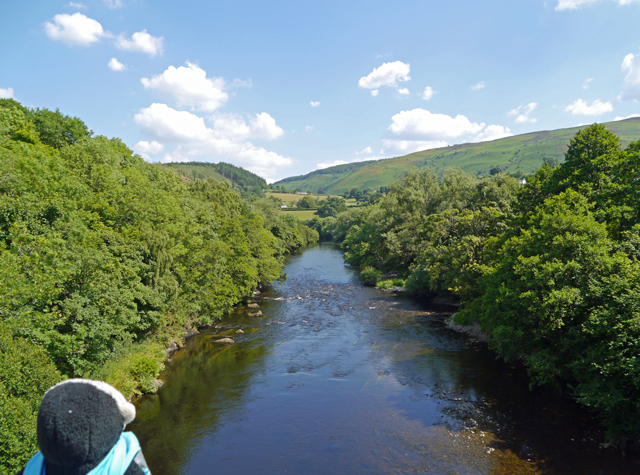 Mooch monkey enjoys Llangollen countryside