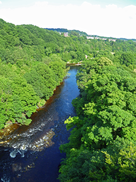 Mooch monkey at Llangollen - Pontcysyllte Aqueduct