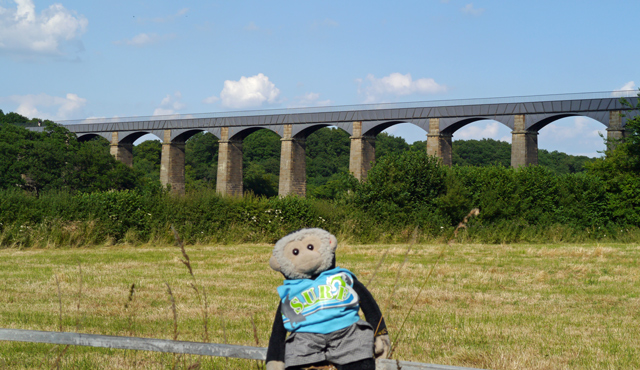 Mooch monkey at Llangollen - Pontcysyllte Aqueduct