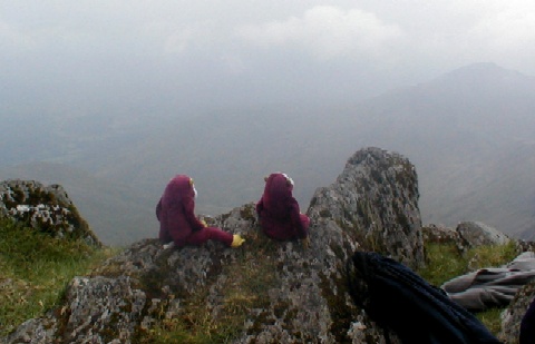 The Monkeys look into clouds and mist