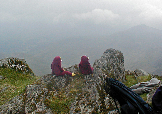 The monkeys and Annie on Snowdon