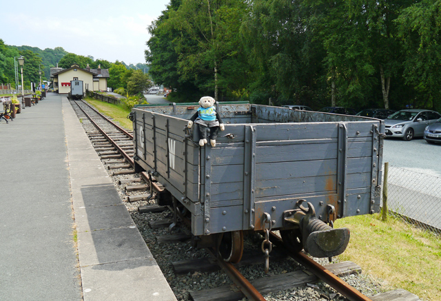 Mooch monkey at the Welshpool & Llanfair Light Railway - Welshpool Station