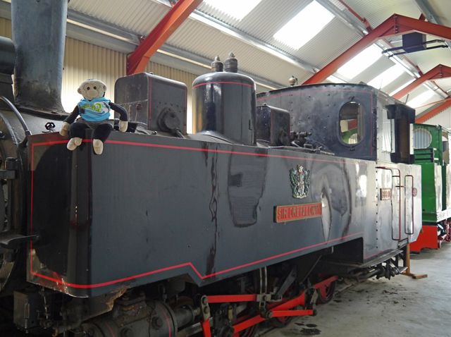 Mooch monkey at the Welshpool & Llanfair Light Railway - engine on display