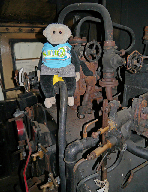 Mooch monkey at the Welshpool & Llanfair Light Railway - engine mechanicals