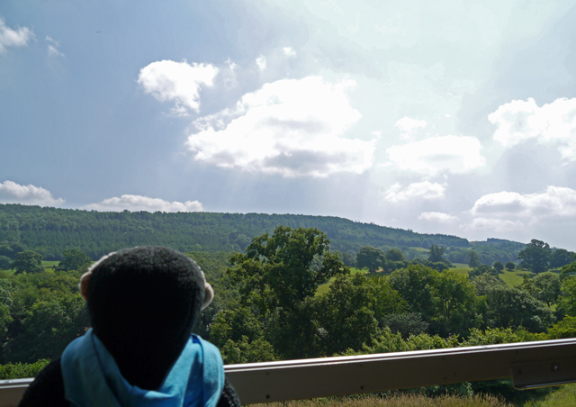 Mooch monkey at the Welshpool & Llanfair Light Railway - Welsh countryside