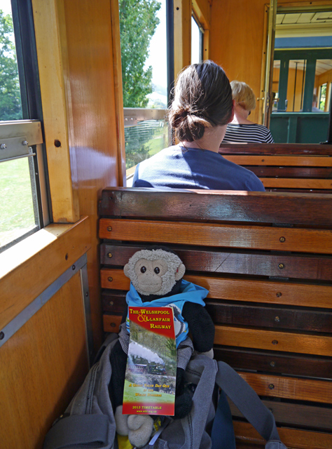 Mooch monkey at the Welshpool & Llanfair Light Railway - carriage