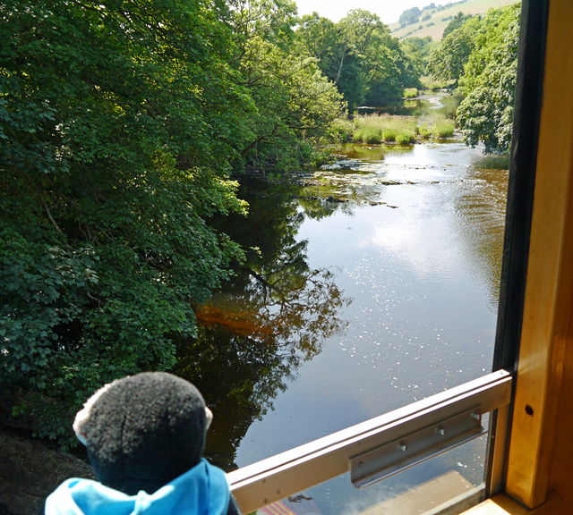 Mooch monkey at the Welshpool & Llanfair Light Railway - Welsh countryside