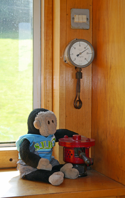 Mooch monkey at the Welshpool & Llanfair Light Railway - carriage control