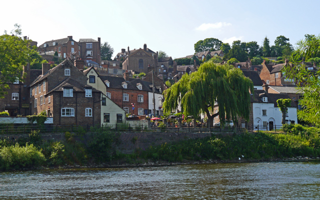 Mooch monkey at Bridgnorth