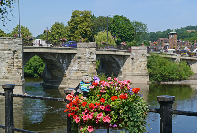 Mooch monkey at Bridgnorth