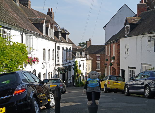 Mooch monkey at Bridgnorth