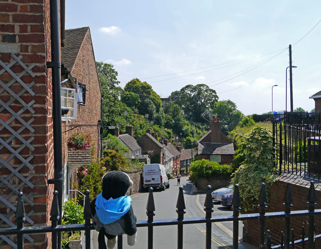 Mooch monkey at Bridgnorth