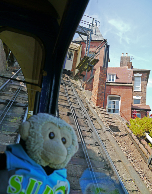 Mooch monkey at Bridgnorth - Cliff Railway