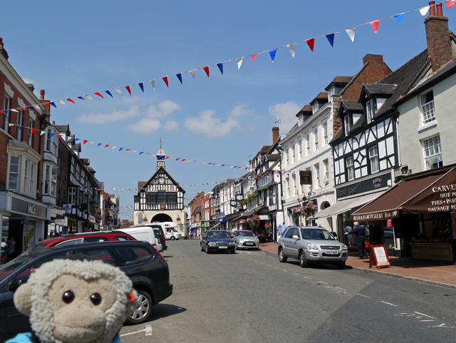 Mooch monkey at Bridgnorth