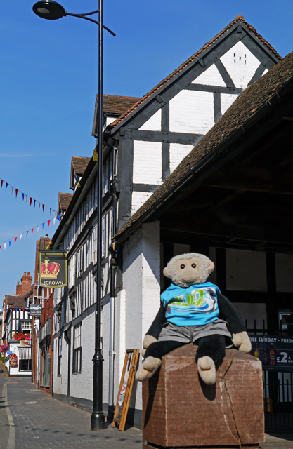 Mooch monkey at Bridgnorth - Crown