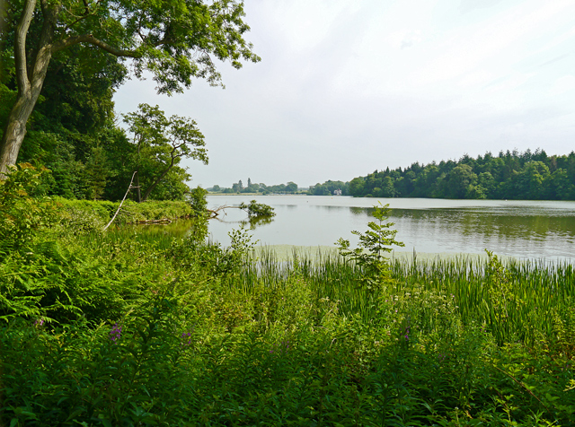 Mooch monkey at Colemere