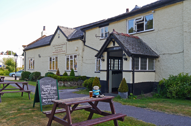 Mooch monkey at the Old Three Pigeons, Nesscliffe