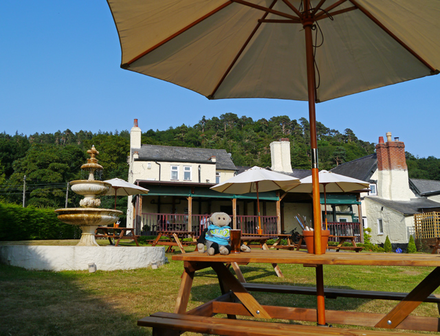 Mooch monkey at the Old Three Pigeons, Nesscliffe