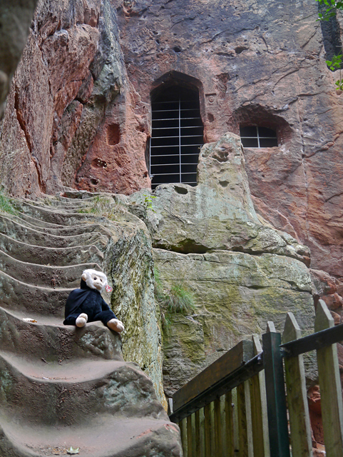 Mina Mooch monkey at Kynaston's Cave, Nesscliffe