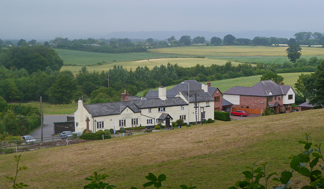 Mooch monkey at Nesscliffe, Shropshire