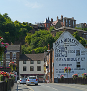 Mooch monkey at Bridgnorth