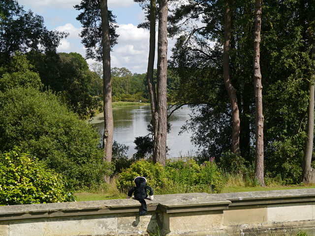 Minty Mooch monkey at Castle Howard - South Lake