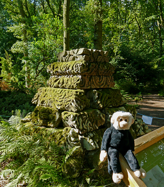 Minty Mooch monkey at Castle Howard - Aztec pyramid